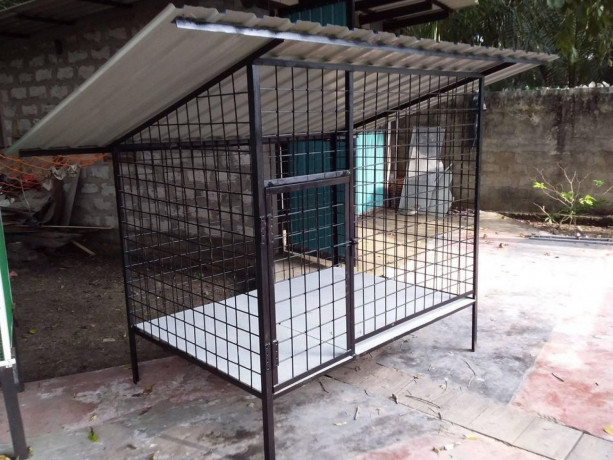 all-kind-of-pets-cages-making-in-jaffna-big-3