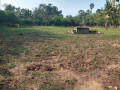 land-for-sale-in-jaffna-puthur-small-0