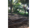 land-for-sale-in-jaffna-iyakachchi-small-1