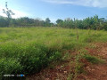 land-with-house-for-sale-in-maviddapuram-small-1