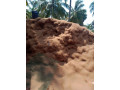 coconut-shell-peel-powder-for-sale-in-jaffna-small-0