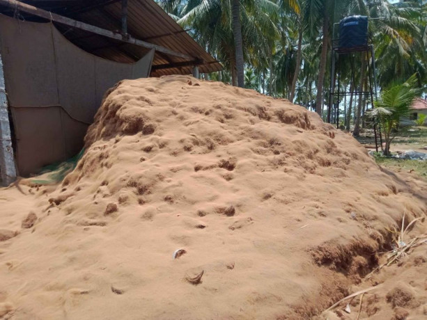 coconut-shell-peel-powder-for-sale-in-jaffna-big-2