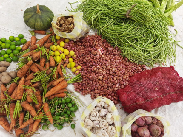 vegetables-at-your-doorstep-northern-sri-lanka-big-0