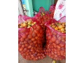 betel-nut-purchase-in-jaffna-small-1