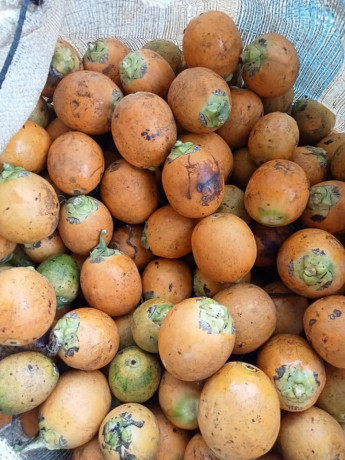betel-nut-purchase-in-jaffna-big-0