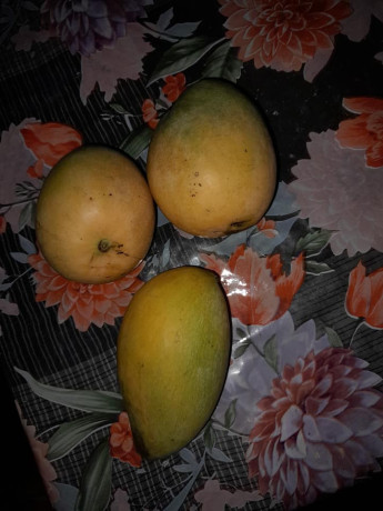 mangoes-sale-in-jaffna-big-1