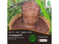 mottai-karuppan-rice-for-sale-in-jaffna-small-0