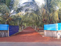 coconut-land-for-sale-in-jaffna-chavakachcheri-small-2